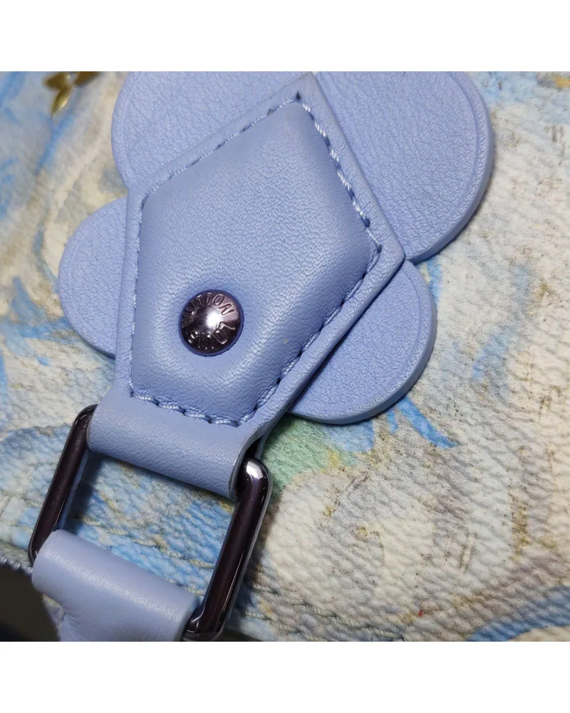 Louis Vuitton Speedy 30, Masters Van Gogh, close up light wear on the hardware