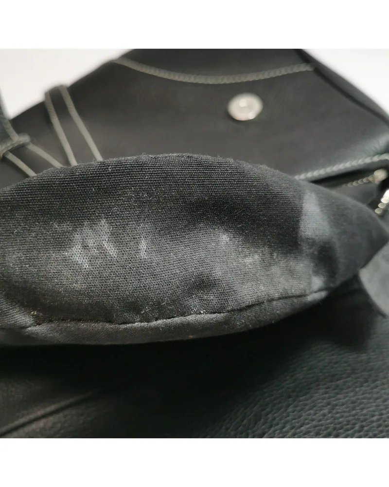 Dior Saddle Bag, sacai Edition, close up moderate marks on the lining