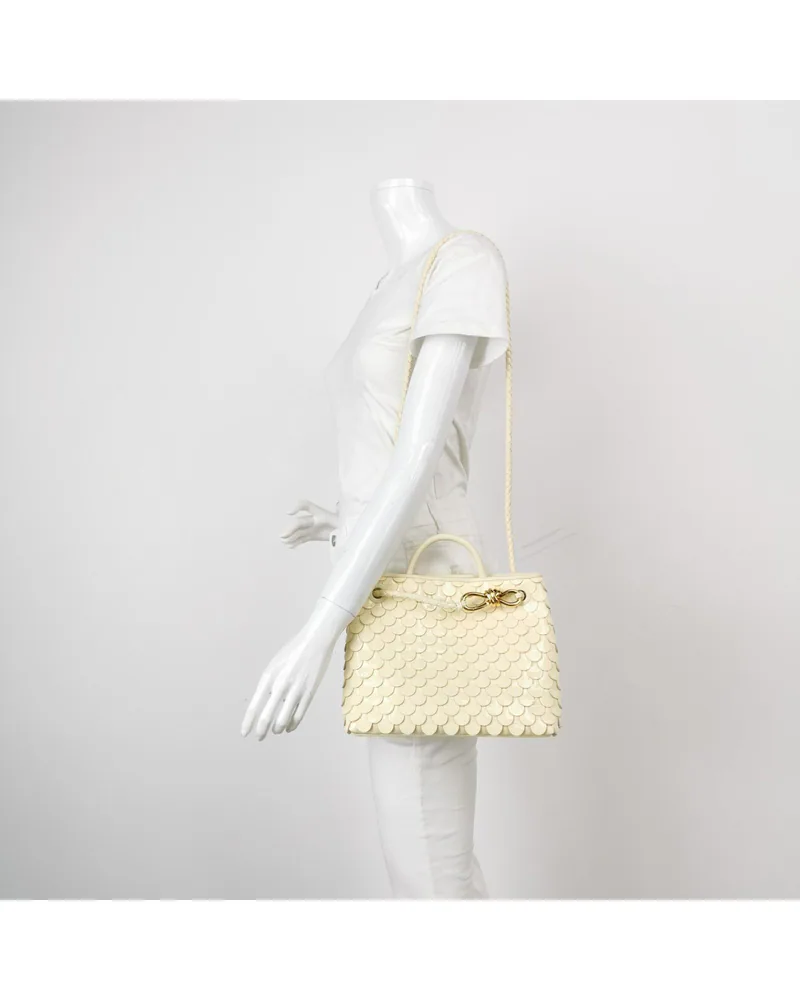 Bottega Veneta Andiamo Small, view 2