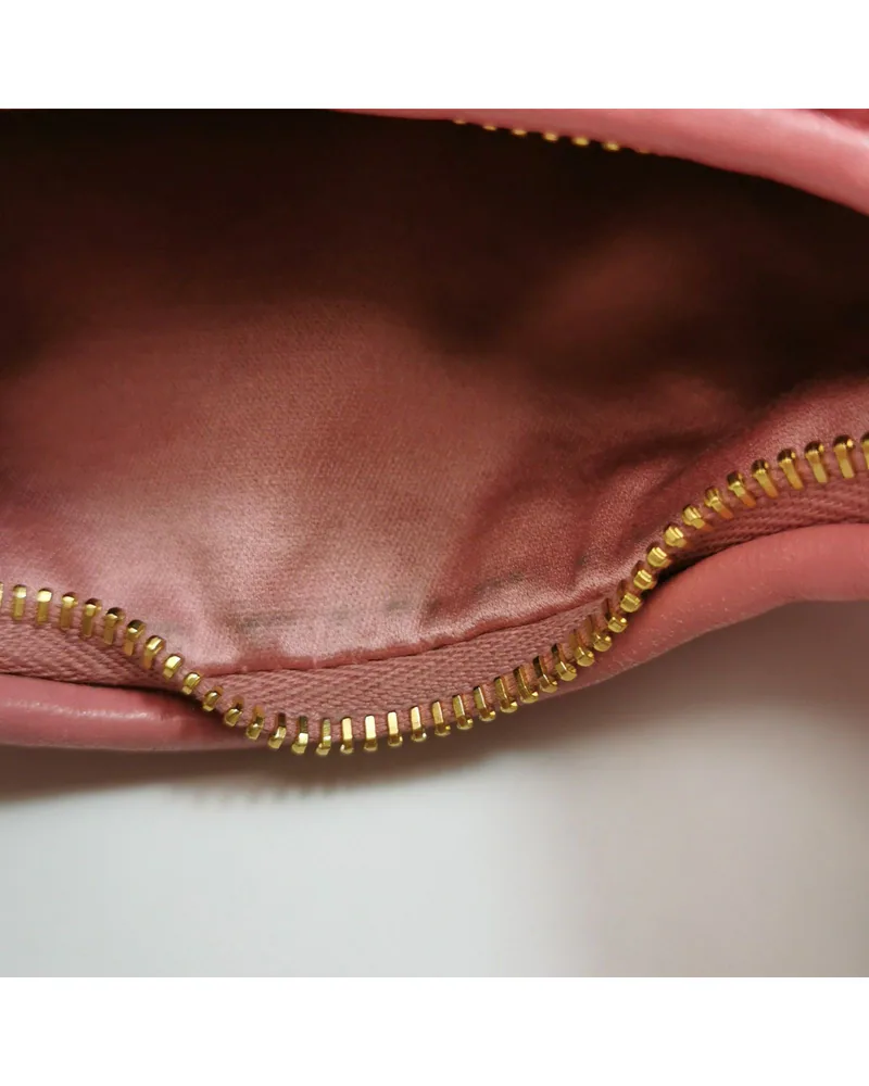 Miu Miu Wander Mini, close up light marks on the lining