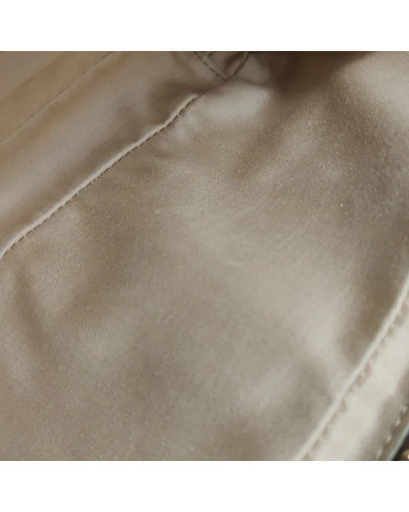 Miu Miu Arcadie Mini, close up light marks on the lining