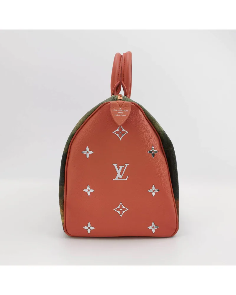 Louis Vuitton Speedy 30, Masters Da Vinci (Mona Lisa), view 4