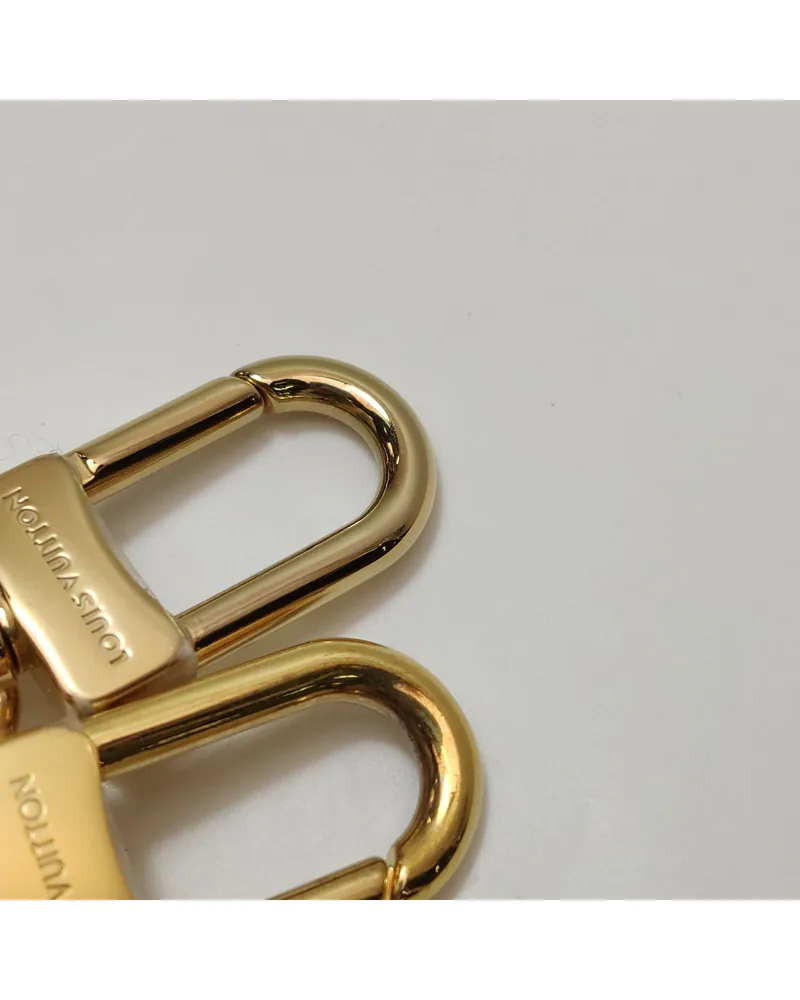 Louis Vuitton Nano Alma, close up light wear on the hardware