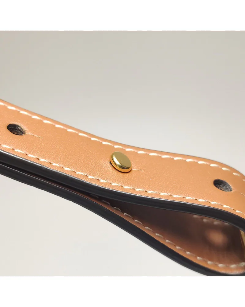 Celine Ava, close up light wear on the hardware