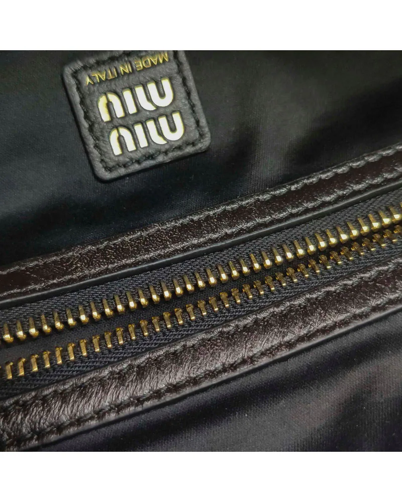 Miu Miu Pocket, close up light wear on the lining