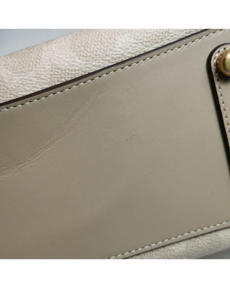 Coach Rogue 25, Disney Collaboration, close up light marks on the body