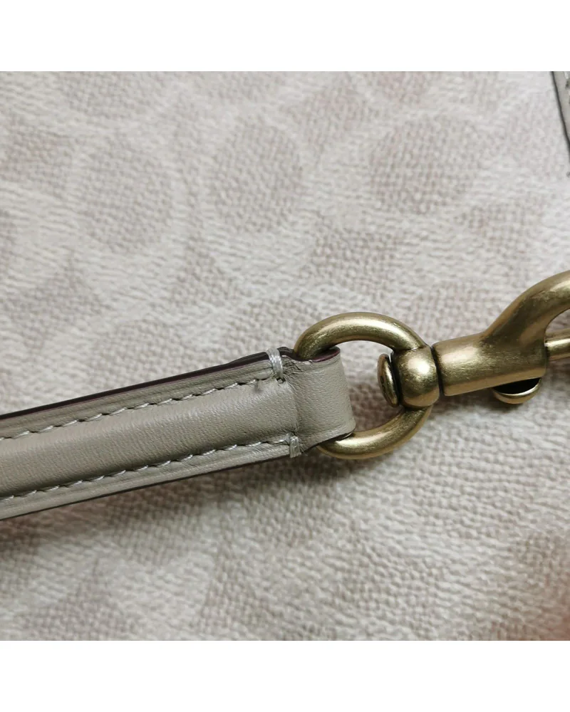 Coach Rogue 25, Disney Collaboration, close up light wear on the strap