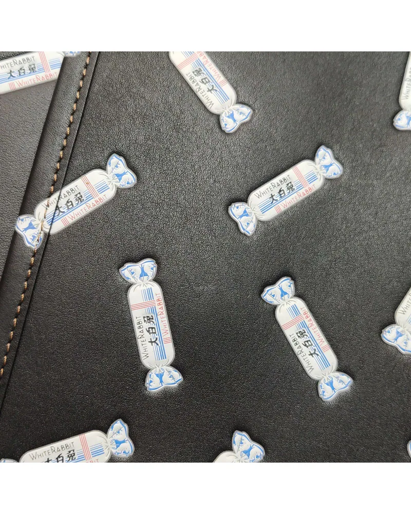 Coach Lunchbox Bag, White Rabbit Collaboration, close up light wear on the body
