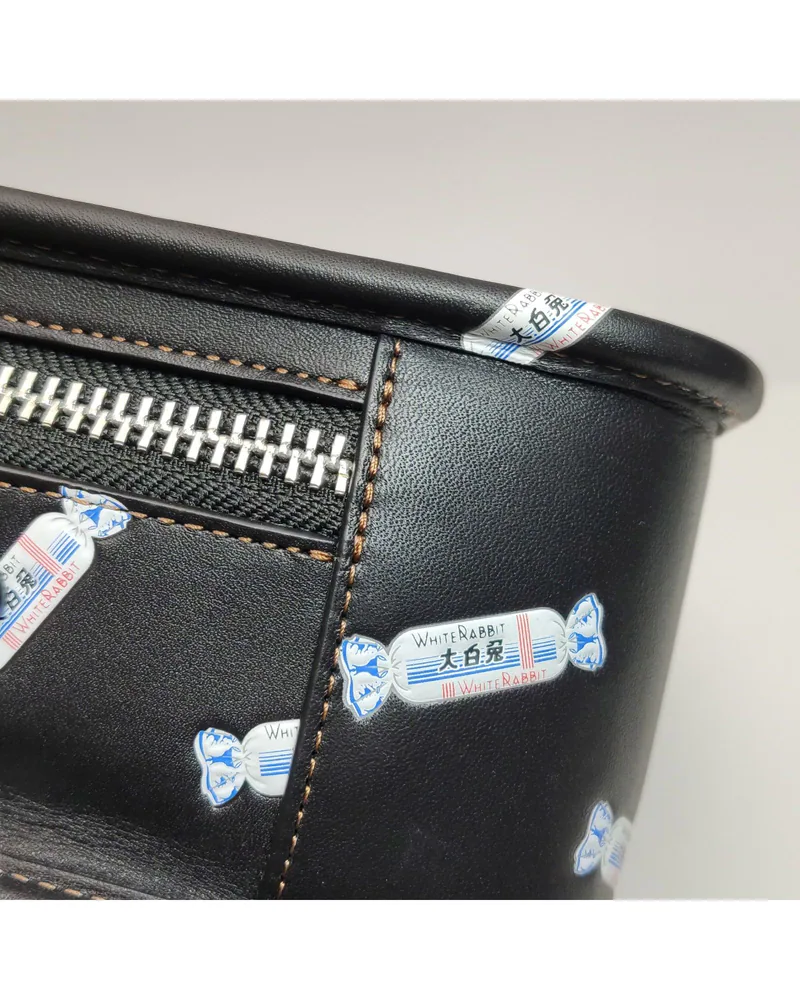 Coach Lunchbox Bag, White Rabbit Collaboration, close up light wear on the body
