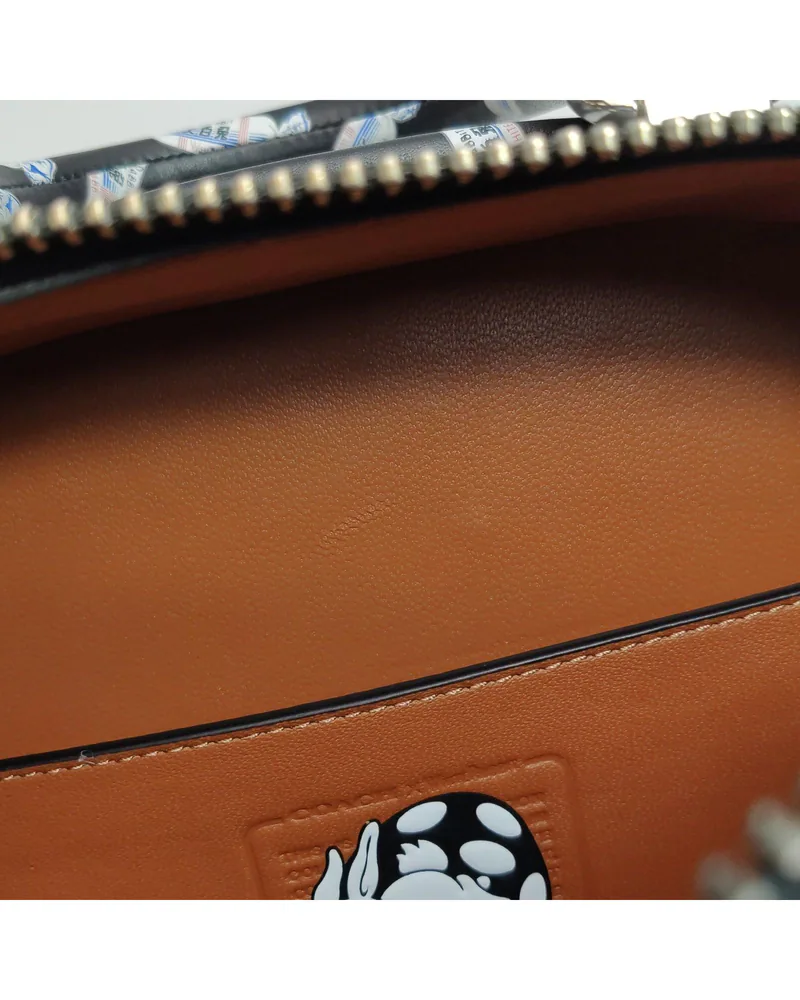 Coach Lunchbox Bag, White Rabbit Collaboration, close up light wear on the lining