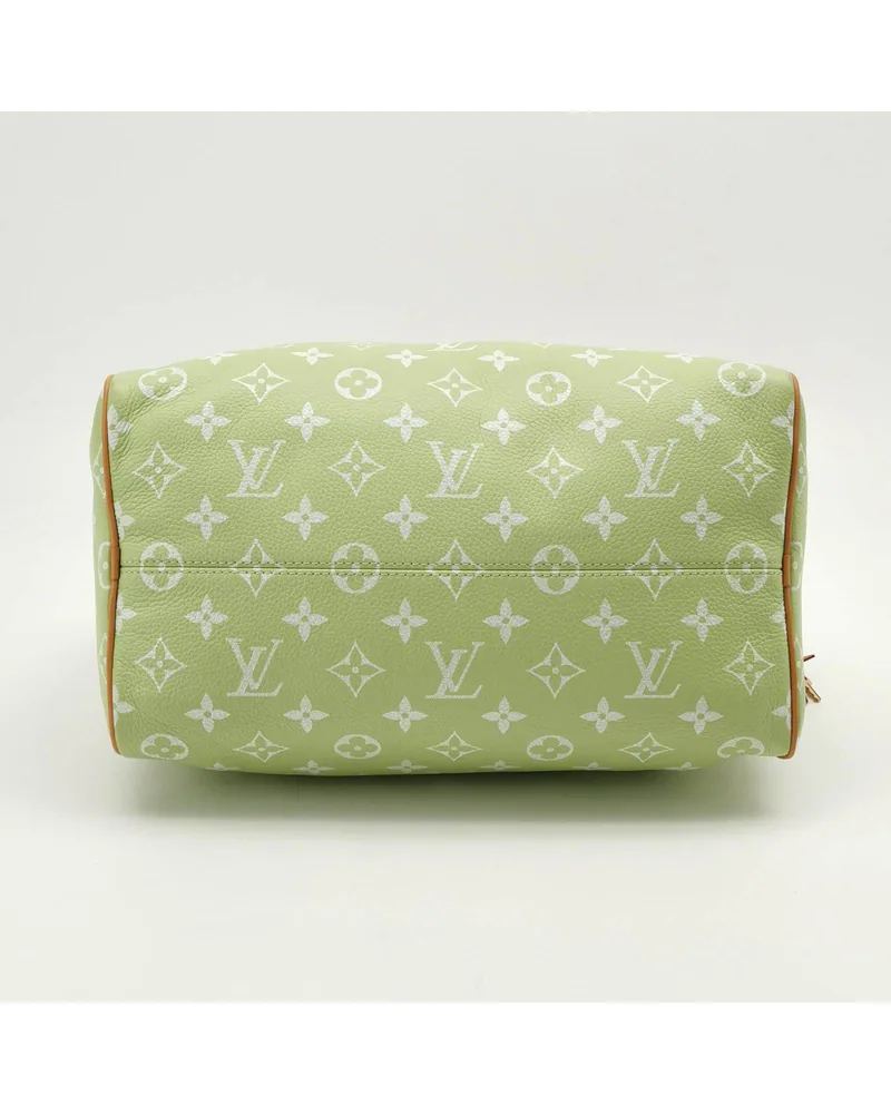 Louis Vuitton Speedy P9 Bandoulière 30, view 5
