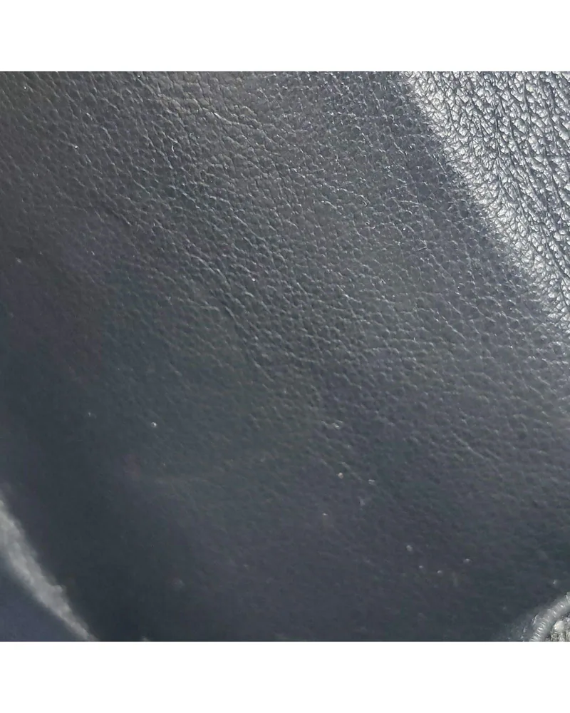 Dior Saddle Nano, close up light wear on the lining